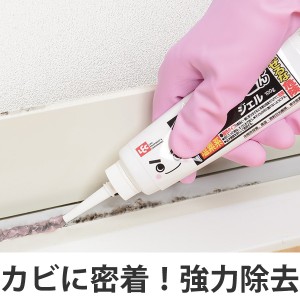 激落ちくん　黒カビくんカビとりジェル100g （ 風呂掃除 風呂用洗剤 カビ取り バスクリーナー 浴室 バス 風呂清掃 バス清掃 お風呂掃除 