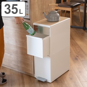 ゴミ箱 35L 分別 スイングステーション ワイド ウッドトップ 2段 （ 35 リットル ダストボックス ごみ箱 キッチン 作業台 ふた付き 分別