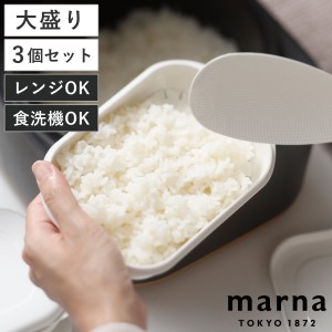 マーナ 保存容器 極 冷凍ご飯保存容器 大盛り 3個セット （ MARNA 大 冷凍 プラスチック 食洗機対応 電子レンジ対応 ごはん容器 ご飯容器