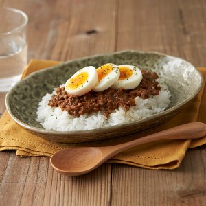 カレー皿 23cm 楕円 緑釉 皿 食器 陶器 美濃焼 日本製 （ お皿 電子レンジ対応 食洗機対応 オーバル パスタ皿 中皿 オーバルプレート カ