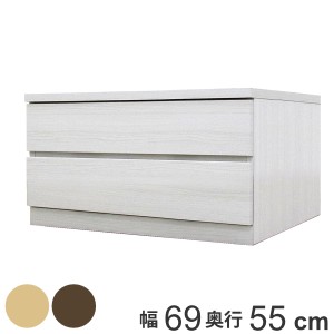 クローゼットチェスト 2段 日本製 Fit 奥行き55cm 幅69cm （ 開梱設置 チェスト 収納チェスト たんす タンス 収納 国産 完成品 箪笥 サイ