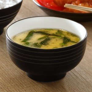 汁椀 360ml スパイラル Spiral 皿 食器 プラスチック 日本製 （ 食洗機対応 電子レンジ対応 お碗 ボウル 汁碗 スープボウル 椀 鉢 割れに