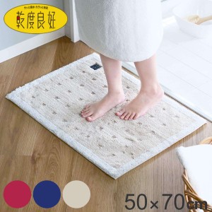 バスマット 乾度良好 Ag＋ クリーンフット 50×70cm （ マット バス用品 速乾 吸水速乾 Ag抗菌 抗菌 銀イオン 足拭きマット 足ふきマット