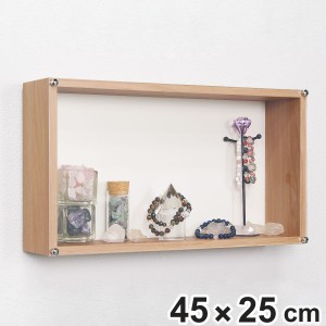 コレクションケース 45×25cm 置き掛け両用 BOX型 フィギュア L401 （ ケース アクリル ボックス 収納 ディスプレイ 保管 透明 薄い 薄型