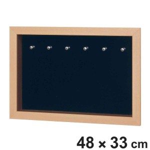 コレクションケース 47.9×32.9cm 壁掛け カバー扉 アクセサリー 収納 L406 （ ケース アクリル ボックス ディスプレイ 保管 透明扉 扉タ