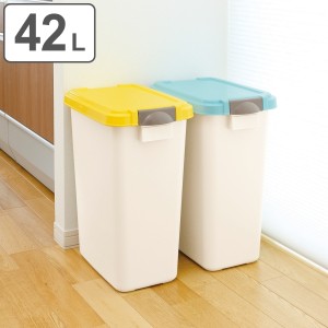 ゴミ箱 42L 屋外兼用 ふた付き 分別 パッキン ペール 防臭カバー付 （ ごみ箱 42リットル パッキン付き ニオイ漏れ防止 おむつ キッチン 