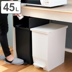 ゴミ箱 45L SOLOW 抗菌加工 分別 ふた付き ( ソロウ 45l 45リットル キッチン ダストボックス ごみ箱 分別ゴミ箱 抗菌 防汚 加工 棚下