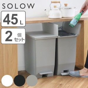 ゴミ箱 45L SOLOW 同色2個セット ペダルオープンスリム （ ごみ箱 45リットル ソロウ 同色 2個 ペダル式 ふた付き 両開き 分別 棚下 スリ