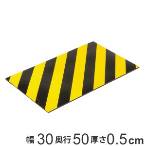 トラ柄クッション 30×50cm 厚さ5mm マグネット付 無反射タイプ （ トラクッション トラ柄 クッション 無反射 保護 磁石 マグネット 工事