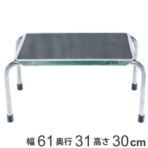 踏み台 ステップジャリスター 幅61×奥行31×高さ30cm ステンレス製 （ 法人限定 ステップ 耐荷重120kg 高さ30cm ふみ台 踏台 ステンレス