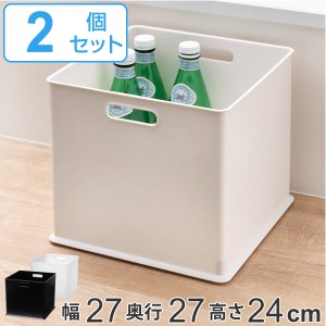 カラーボックス 横置き インナーボックス 収納 フル ナチュラ インボックス プラスチック 日本製 2個セット （ 収納ボックス 収納ケース 