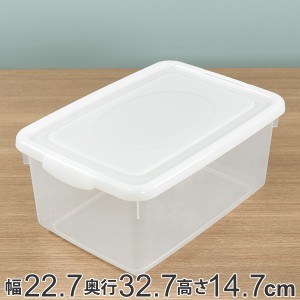 収納ケース 幅22.7×奥行32.7×高さ14.7cm フタ付き プラスチック 収納ボックス （ クローゼット収納 ふた付き 小物 収納 小物ケース ボ