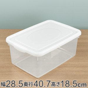 収納ケース 幅28.5×奥行40.7×高さ18.5cm フタ付き プラスチック 収納ボックス （ クローゼット収納 ふた付き 収納 靴箱 靴収納 ケース 