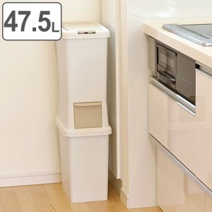 ゴミ箱 47.5L 分別 二段 ダストボックスファイン スリム （ ごみ箱 47.5リットル 縦型 2分別 ふた付き プッシュ式 省スペース シンプル 