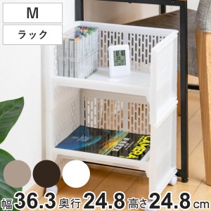 ラック M 幅36.3×奥行24.8×高さ24.8cm e-ラック 調味料ラック （ 収納ラック ペットボトル 収納 キッチンストッカー ペットボトル収納 