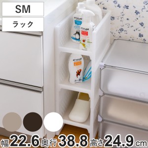 ラック SM 幅22.6×奥行38.8×高さ24.9cm e-ラック すきま収納 （ 収納ラック ペットボトル 収納 キッチンストッカー すき間収納 ペット