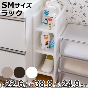 ラック SM 幅22.6×奥行38.8×高さ24.9cm e-ラック すきま収納 （ 収納ラック ペットボトル 収納 キッチンストッカー すき間収納 ペット