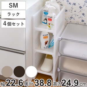 ラック SM 幅22.6×奥行38.8×高さ24.9cm e-ラック すきま収納 同色4個セット （ 収納ラック ペットボトル 収納 キッチンストッカー すき