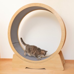 キャットホイール 猫 キャットランナー おもちゃ （ ランニングホイール ルームランナー 回し車 運動 エクササイズ 室内 組立 猫用 ペッ