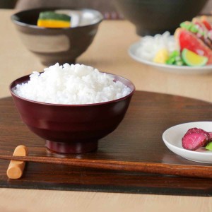 茶椀 12cm 飯椀 平筋 山中塗 プラスチック （ 食洗機対応 電子レンジ対応 お茶碗 ご飯茶碗 茶わん ライスボウル 抗菌加工 軽い 割れにく