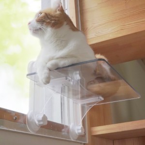 キャットステップ 窓用 透明 ネコ ペット用 （ クリア ペット 窓 おしゃれ キャットタワー ネコ ステップ ねこ 猫 窓面取り付け 運動 お