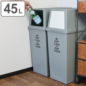 ゴミ箱 45L 分別 積み重ねゴミ箱 スリム （ 45l 45リットル ごみ箱 ふた付き キッチン ダストボックス スタッキング フロント プッシュ 