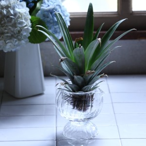 花瓶 リボベジ ガラス ラウンドカップ （ リボーンベジタブル ガラスカップ 器 家庭菜園 再生野菜 ミニ花瓶 脚付き 入れ物 水耕 栽培 水