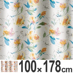 カーテン　遮光カーテン　スミノエ　アリス　ローズガーデン　100×178cm （ 送料無料 遮光 ディズニー ドレープカーテン Disney ふしぎ