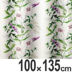 カーテン　遮光カーテン　スミノエ　ミッキー　ワイルドフラワ−　100×135cm （ 送料無料 ディズニー ドレープカーテン ミッキーマウス 