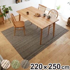 ラグ ワイヤーライン 220×250cm 洗える 床暖房対応 （ ラグマット カーペット 絨毯 マット フロアマット ダイニングラグ 長方形 3.5畳 