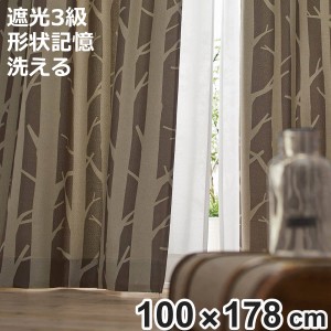 カーテン 遮光カーテン SHIRAKABA シラカバ 100x178cm スミノエ （ ドレープ 1枚 3級遮光 遮光 既製品 白樺 ストライプ インテリア 大柄 