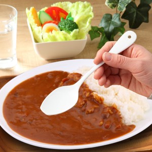 カレースプーン ブラン blanc ステンレス製 スプーン ホーロー 日本製 （ テーブルスプーン 洋食器 カトラリー 琺瑯 白い食器 デザートス