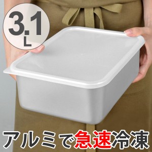 保存容器　アルミ保存容器　深型　大　3.1L　蓋付き （ アルミ製 冷凍OK 冷蔵庫 食品保存 3リットル 3L キッチン用品 キッチン雑貨 製菓