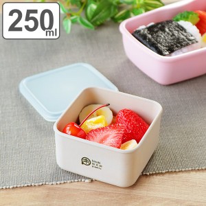 弁当箱 保存容器 250ml S ひのきのぷら スクエアランチプラス 正方形 （ お弁当箱 ランチボックス レンジ対応 食洗機対応 日本製 レンジO