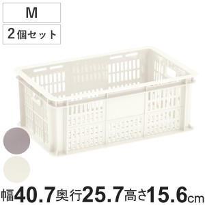 バスケット 樹脂と暮らす R100 BASKET M 2個セット 収納ボックス （ 幅40.7×奥行25.7×高さ15.6cm 収納 ケース 通気性 丈夫 積み重ね プ