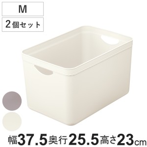 小物入れ 樹脂と暮らす R100 STORAGE CASE M 2個セット 収納 （ 幅37.5×奥行25.5×高さ23cm ケース ボックス A4サイズ プラスチック 日