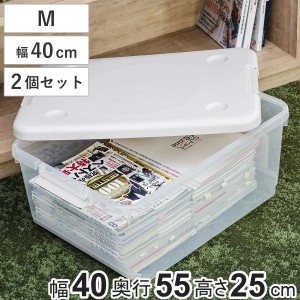 収納ボックス 40M とっても便利箱 フタ付き 2個セット （ 幅40×奥行55×高さ25cm 収納 ボックス 隙間 収納ケース 棚上 引き手付き ロッ