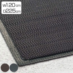 【法人限定】 玄関マット 屋外 業務用 120×225cm 7ミリ厚 スーパーダスピット オフィス サイズオーダー （ 薄い 玄関 マット 屋外マット