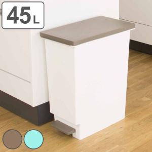 ゴミ箱 45L スリムペダル ふた付き ( 45リットル 45l ごみ箱 スリム ペダル キッチン 分別 ダストボックス 縦型 シンプル おしゃれ 分別