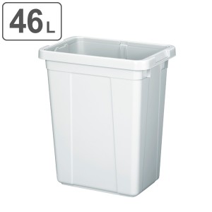 ゴミ箱 46L エコペール 本体のみ （ 46 リットル ダストボックス キッチン 大容量 プラスチック ごみ箱 角型 屑入れ 屑箱 資源ごみ 可燃