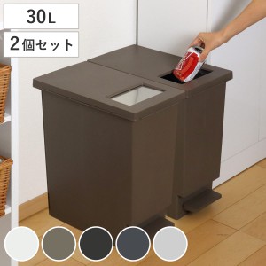 ゴミ箱 30L 同色2個セット ユニード プッシュ＆ペダル （ 30リットル ふた付き 分別 キッチン ダストボックス スリム 分別ゴミ箱 棚下 カ