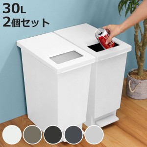 ゴミ箱 30L 同色2個セット ユニード プッシュ＆ペダル （ 30リットル ふた付き 分別 キッチン ダストボックス スリム 分別ゴミ箱 棚下 カ