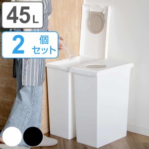 ゴミ箱 45L 同色2個セット ユニード ロック＆プッシュ ふた付き （ 45リットル 45l 密閉 臭わない パッキン ごみ箱 幅27 ダストボックス 