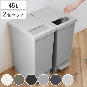 ゴミ箱 45L 同色2個セット ペダル ユニード プッシュ＆ペダル （ 45リットル ふた付き 分別キッチン ダストボックス スリム 分別ゴミ箱 