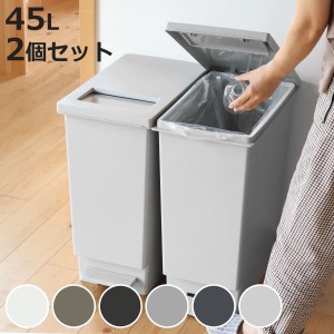 ゴミ箱 45L 同色2個セット ペダル ユニード プッシュ＆ペダル （ 45リットル ふた付き 分別キッチン ダストボックス スリム 分別ゴミ箱 