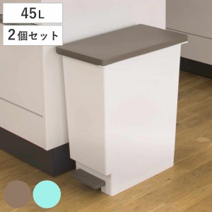 ゴミ箱 45L 同色2個セット スリムペダル ふた付き （ ごみ箱 45リットル 同色 2個 まとめ買い セット スリム ペダル キッチン 分別 ダス