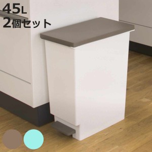 ゴミ箱 45L 同色2個セット スリムペダル ふた付き （ ごみ箱 45リットル 同色 2個 まとめ買い セット スリム ペダル キッチン 分別 ダス