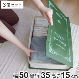 収納袋 ストレージブックス 幅50×奥行35×高さ15cm 3冊セット （ 衣類 小物 棚上 収納 マルチ収納 クローゼット収納 本型 ブック型 小物