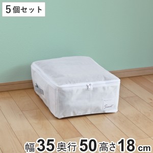 衣類整理袋 すきま収納 衣類用 幅35×奥行50×高さ18cm 5個セット クローゼット収納 （ 衣類 収納袋 収納 収納ケース 衣類ケース 洋服 衣