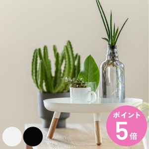 TChe[u v[ PLAIN 32cm rtg[ ؐ X`[ g[ i gC  e[u [e[u R ۃe[u ~